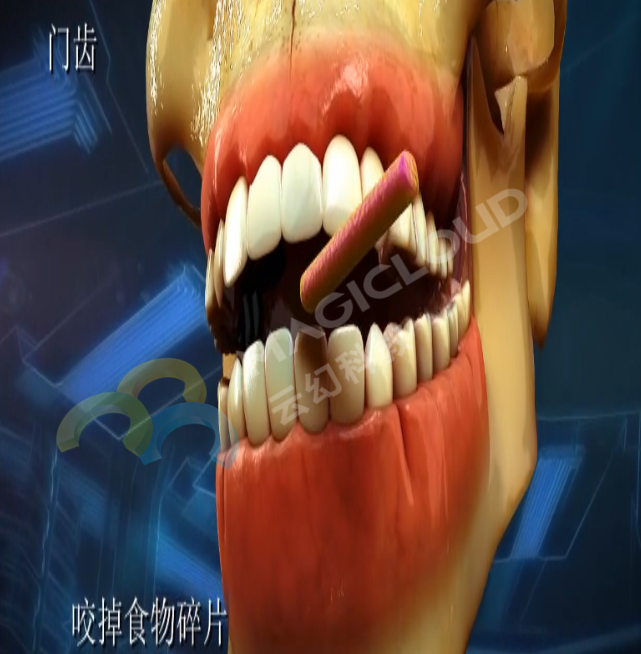 1533259734917206.png