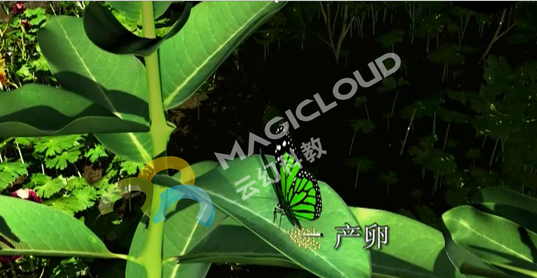 1-副.png