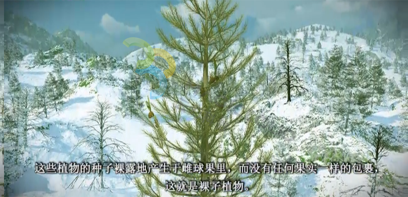 1534996389463432.png