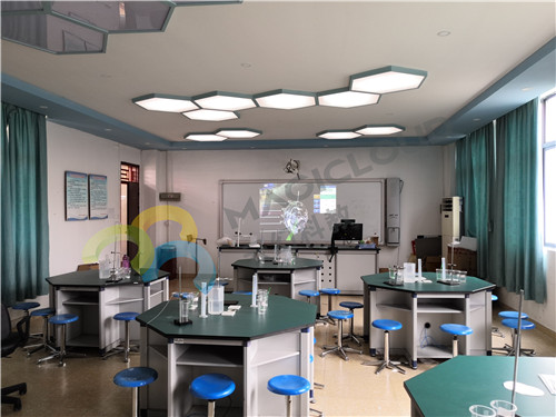 廣東省深圳市龍華區教科院附屬小學(xué)